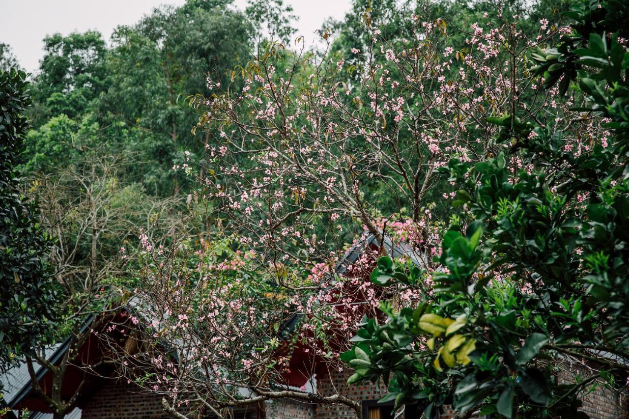 Cat Ba Spring Garden Homestay Hien Hao Εξωτερικό φωτογραφία